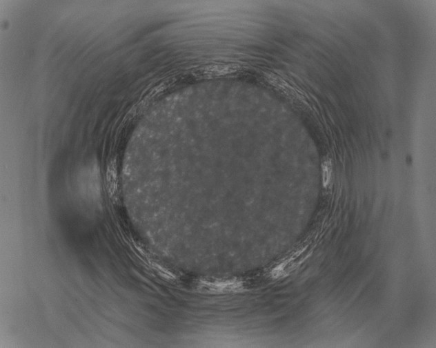 X0000068261011200605191757