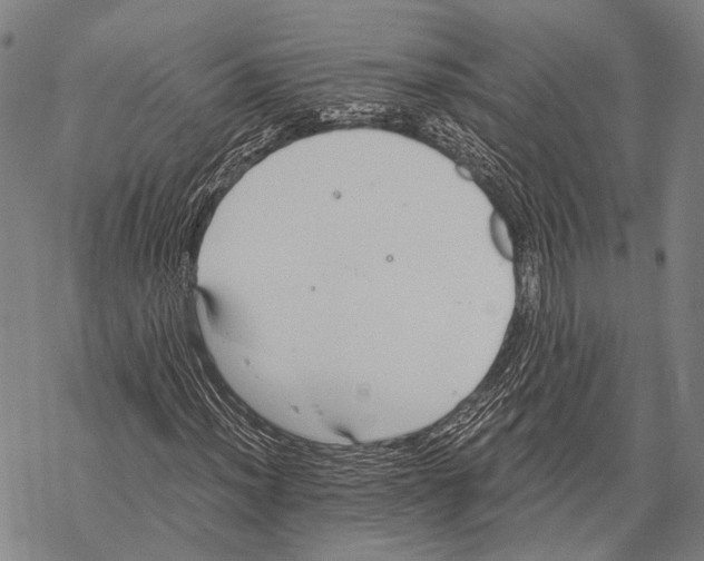 X0000068261012200605191757