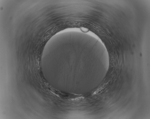 X0000068261013200605191757