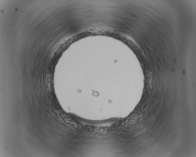 X0000068261016200605191757