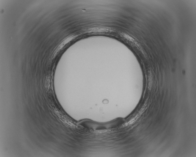 X0000068261017200605191757