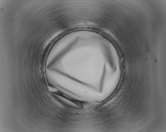 X0000068261018200605191757