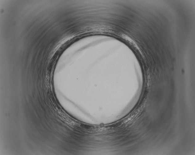 X0000068261019200605191757