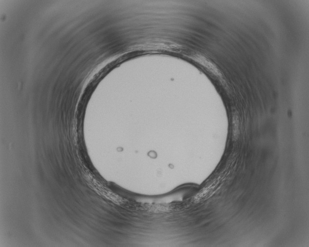 X0000068261020200605191757