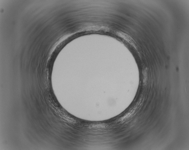 X0000068261021200605191757