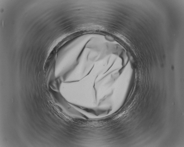 X0000068261022200605191757