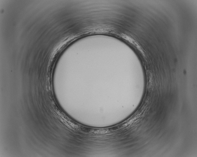 X0000068261027200605191758