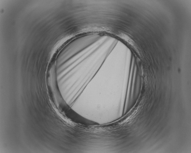 X0000068261030200605191758