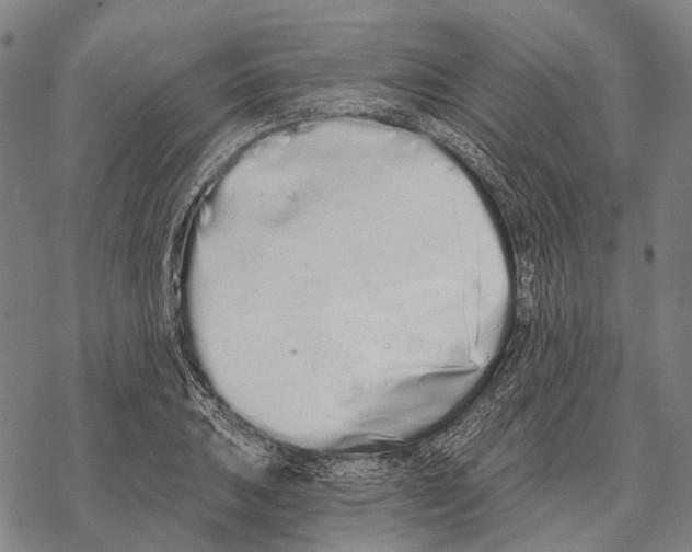 X0000068261031200605191758