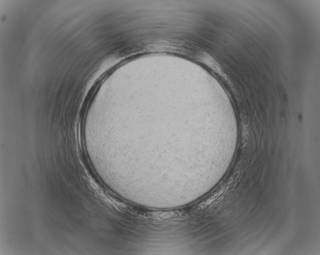 X0000068261032200605191758