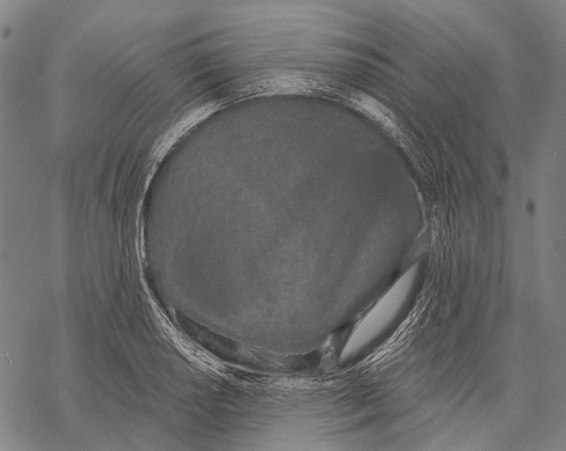 X0000068261034200605191758