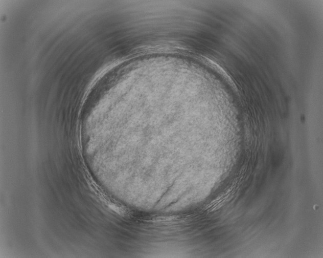 X0000068261035200605191758