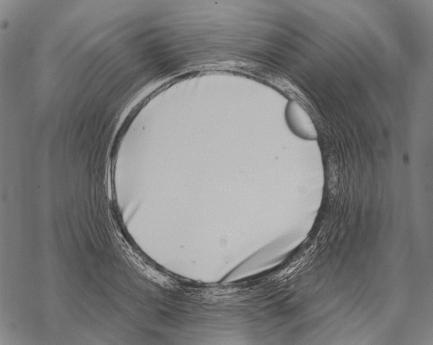 X0000068261036200605191758