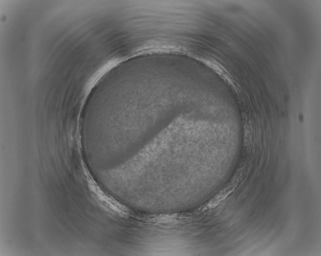 X0000068261038200605191758