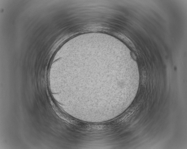 X0000068261039200605191758