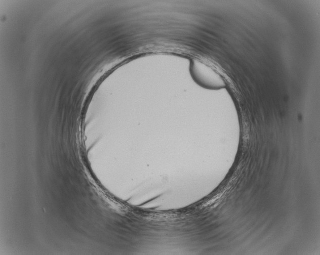 X0000068261040200605191758