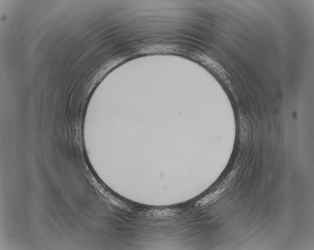 X0000068261041200605191758