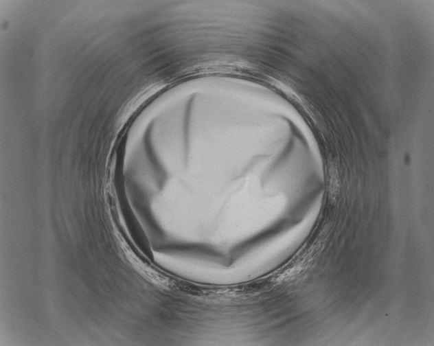 X0000068261042200605191758