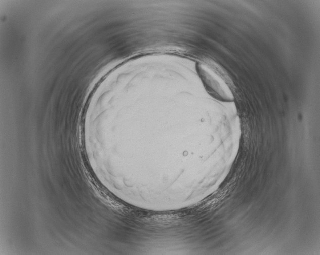 X0000068261044200605191758