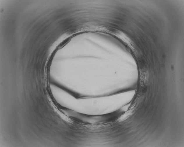 X0000068261046200605191758