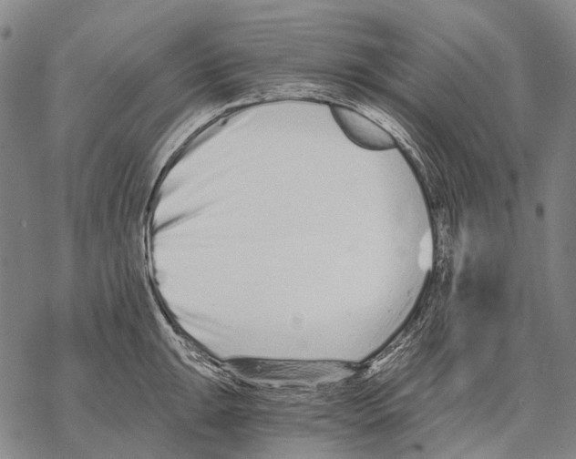 X0000068261047200605191758