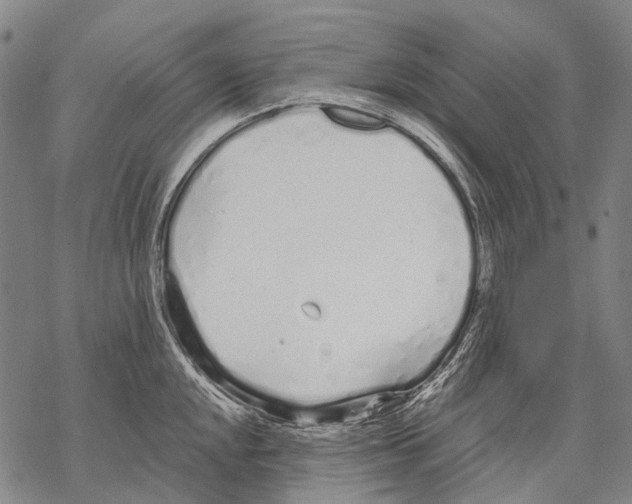 X0000068261048200605191758