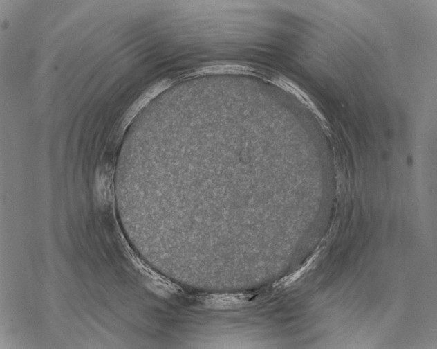 X0000068261049200605191758