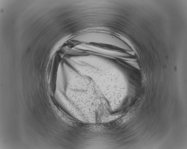 X0000068261050200605191758