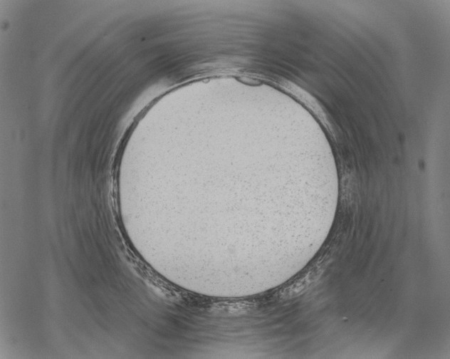 X0000068261051200605191758