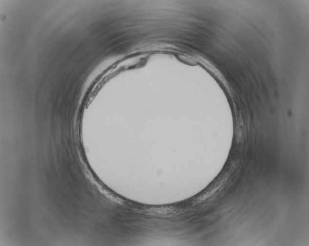 X0000068261053200605191758