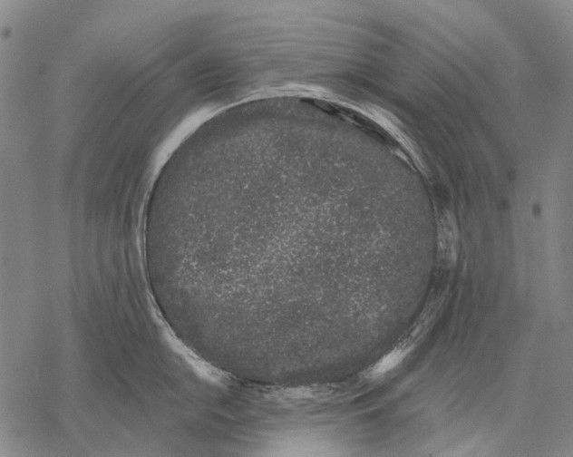 X0000068261054200605191758