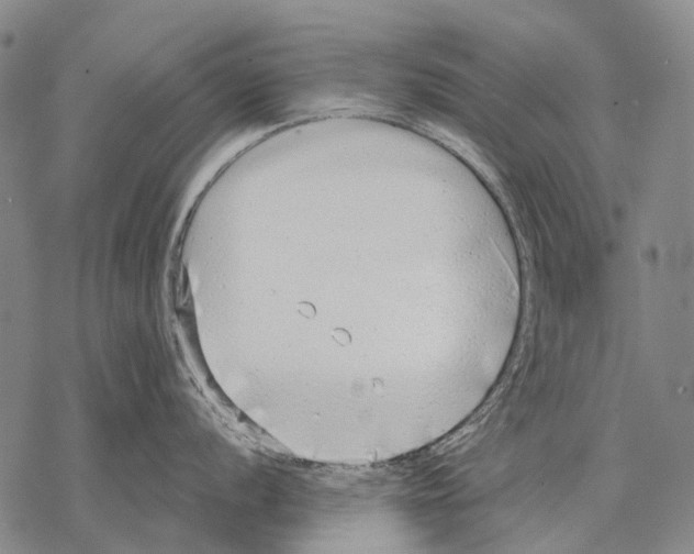 X0000068261056200605191758