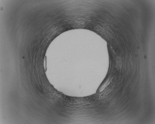 X0000068261057200605191757