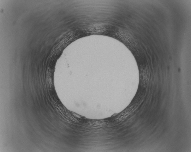 X0000068261058200605191757