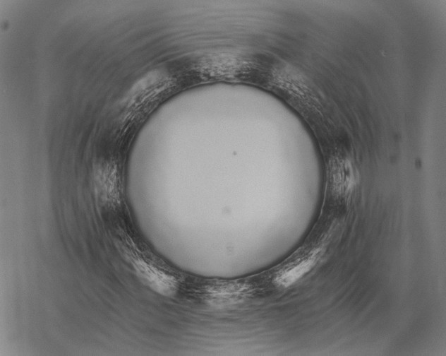 X0000068261060200605191757