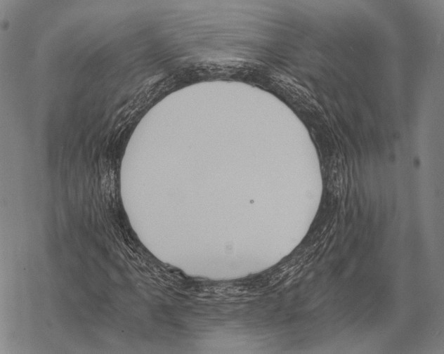 X0000068261061200605191757