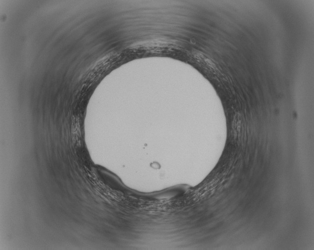 X0000068261062200605191757