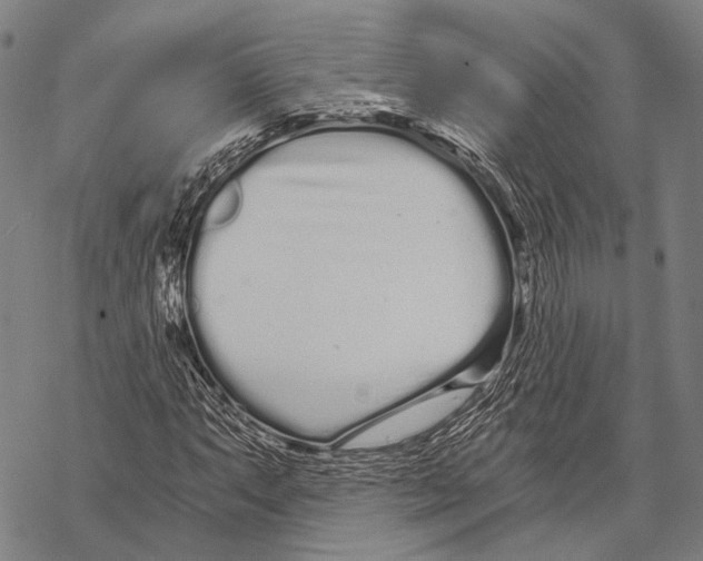 X0000068261063200605191757