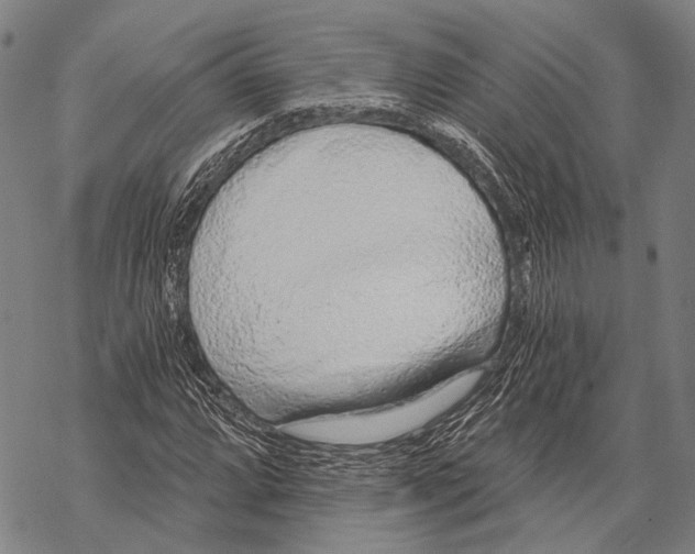 X0000068261064200605191757