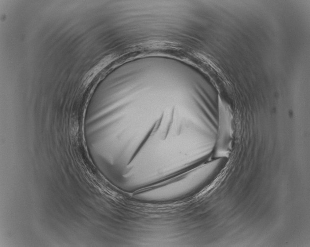 X0000068261065200605191757