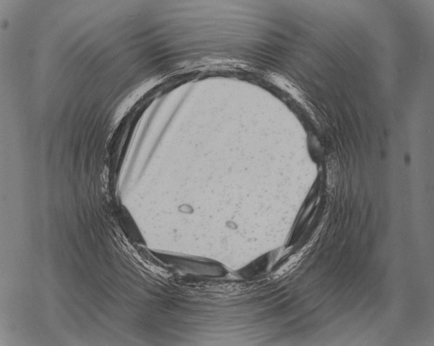 X0000068261066200605191757