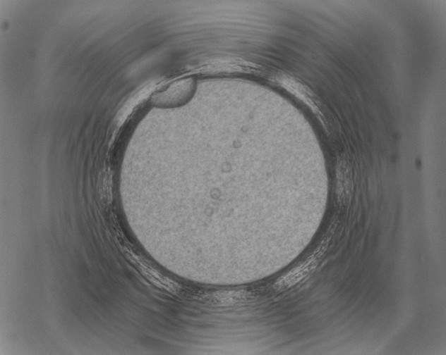 X0000068261067200605191757