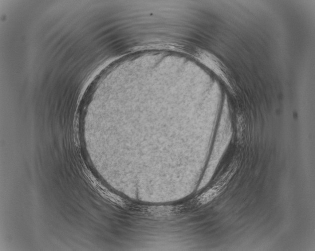 X0000068261068200605191757