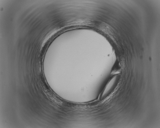 X0000068261069200605191757