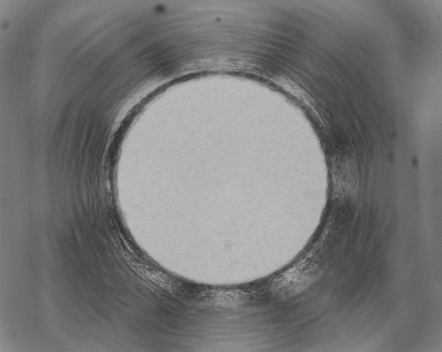 X0000068261070200605191757