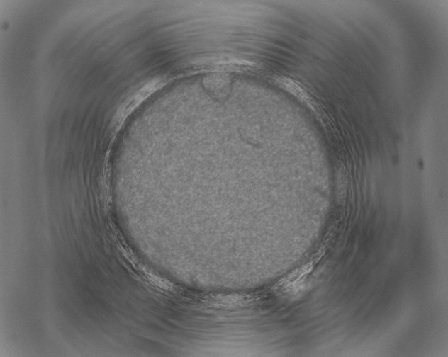 X0000068261071200605191757