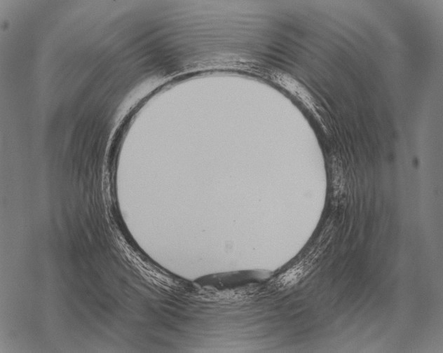 X0000068261072200605191757