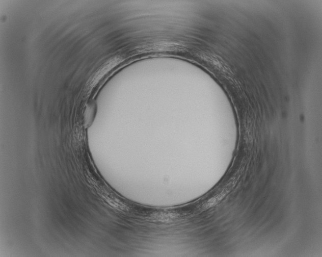 X0000068261073200605191757