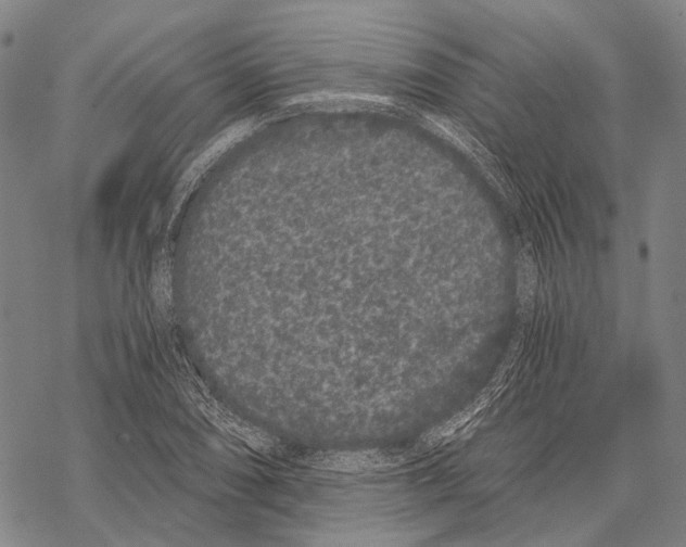 X0000068261074200605191757