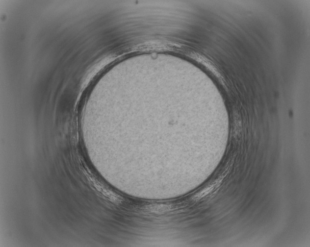 X0000068261075200605191757